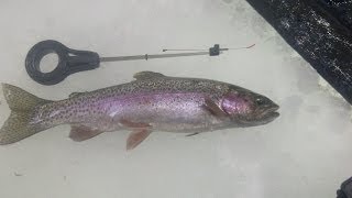 Beauvais Lake Ice Fishing March 2014 [upl. by Edyth]