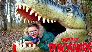 WORLD OF DINOSAURS  Leonardo D [upl. by Ytsanyd]