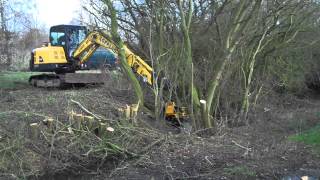 Hedge coppicing using a Gierkink felling grapple with integrated chainsaw mounted on a Wacker Newson [upl. by Nel608]