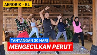 30 HARI MENGECILKAN PERUT  AEROBIK BL [upl. by Ahron]