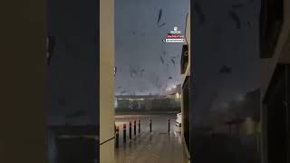 🇪🇸 🌧️ Impactante imágenes de la tragedia en Valencia España [upl. by Platas502]