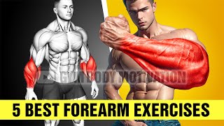 5 Best Exercises for Bigger Forearms [upl. by Nanyk717]