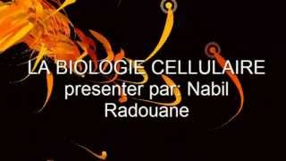 Biologie Cellulaire LES ORGANITES CELLULAIRE [upl. by Bussey]