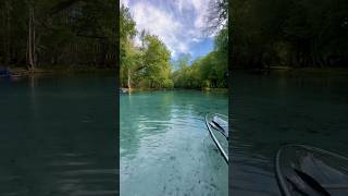 Clear Kayaking near Ginnie Springs during Winter in Florida  Gilchrist Blue Springs Guided Tours ✨ [upl. by Liponis]