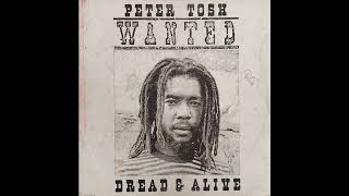 Peter Tosh  ReggaeMylitis  Intel Diplo LP Wanted Dread amp Alive 1981 [upl. by Isabelle200]