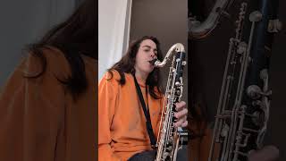 Funky bass clarinet [upl. by Paolina]