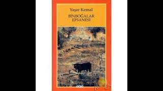 Yaşar kemal🌺Binboğalar efsanesi🌺 PART 10 roman seslikitap yaşarkemal чтение [upl. by Fisher588]