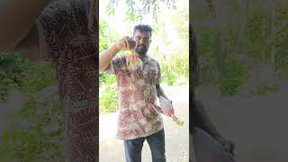 If 1 banana plant is planted 40 plants are grown  organic banana fruits  banana plants [upl. by Janaye]