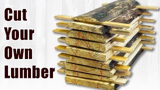 How To Saw Your Own Spalted Lumber From Logs [upl. by Yerbua254]