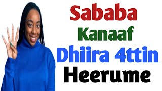 Sababa Kanaaf Dhiira Afurittin Heerume [upl. by Anij]