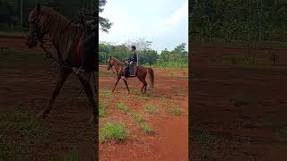 Olahraga memanah berkuda horseback archery [upl. by Folger952]