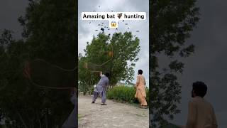 Amazing bat hunting 🦇😱 farming hunting entertainment shorts viralshorts youtubeshorts [upl. by Naesad]