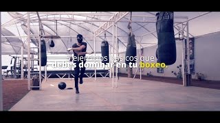 5 ejercicios básicos que un boxeador amateur debe dominar [upl. by Clementas]