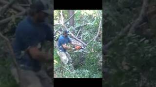 I got it Stuck chainsaw cuttingwood stihl [upl. by Kaenel]