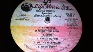 Barrington Levy  While Your Gone [upl. by Swenson]