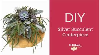 How to Make a Silver Succulent Centerpiece [upl. by Nodarb813]