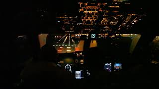 Посадка Ил96 в Шереметьево  Ilyushin Il96 Landing at UUEE Cockpit view [upl. by Anivlek484]