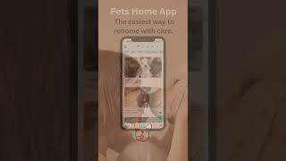 Rehome Your Pet Effortlessly with Pets Home App  Perfect for Busy Lives [upl. by Paolo]