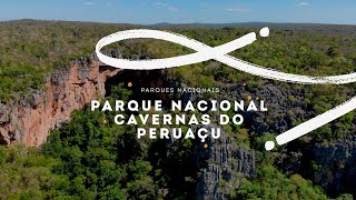 PARQUE NACIONAL CAVERNAS DO PERUAÇU PARQUES NACIONAIS [upl. by Oiciruam]