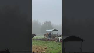 Foggy morning at the ranch  cowboys cowpoke [upl. by Zoe391]