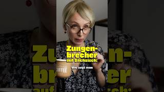 Zungenbrecher auf Sächsisch 🤣 comedy dialekt sachsen [upl. by Sylirama25]