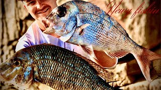 Land based fishing Snapper and Spangled Emperor in NSW [upl. by Feingold931]