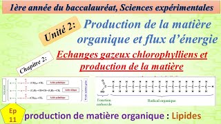 1BSEFU2CH3EP11 production de matière organique ches les plantes chlorophylienneLIPIDES [upl. by Berneta954]