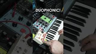 DUOPHONIC MOOG GRANDMOTHER analog moog duophonic [upl. by Manlove600]