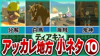 【ティアキン】レア装備や便利すぎる場所！アッカレ地方の小ネタ10選【ゼルダの伝説】 [upl. by Yesdnil]