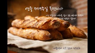 애틀랜타 한국순교자 천주교회연중 제19주일 특전미사 정홍철 아우구스티노 신부 S J 과 도윤호 세례자요한 신부SJ의 첫미사 [upl. by Candyce901]