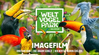 WELTVOGELPARK WALSRODE  Ein Abenteuer das beflügelt [upl. by Anilehcim]