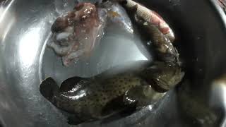 mabilisang Pamamana dahil sobrang labo ng Dagat nigthspearfishing viralvideo [upl. by Annaik]