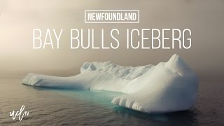 Bay Bulls Newfoundland Iceberg in the Fog [upl. by Tiga]