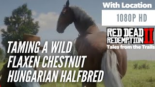 Red Dead Redemption 2 Wild Hungarian Flaxen Chestnut  Location  1080p HD PS4 Pro  RDR2 [upl. by Dnomyaw]