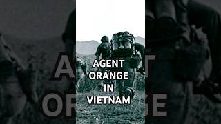 The Impacts Of AgentOrange In Vietnam tvnews [upl. by Marybeth]