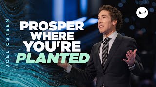 Prosper Where Youre Planted  Joel Osteen [upl. by Klara]