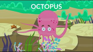 Learn about Octopus  Body Parts and Structure  Video for Kids [upl. by Kazimir708]