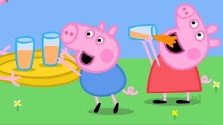 Peppa Pig in Hindi  Hichakee  हिंदी Kahaniya  Hindi Cartoons for Kids [upl. by Felicdad231]