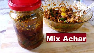 লেবুলঙ্কাগাজরের টক ঝাল মিক্স আচার রেসিপি  Mixed Veg AcharPickle Recipe দোকানের মত মিক্স আচার [upl. by Derwon]