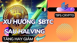 BTC SAU HALVING TĂNG HAY GIẢM  CÓ SÓNG MEMECOIN COMBACK KHÔNG  TIPS CRYPTO [upl. by Tedie]