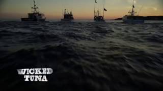 WICKED TUNA  Premieres March 12 with Captain Marciano [upl. by Yancy92]