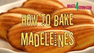 How to Bake Traditional Madeleines Original French Madeleines recipe  quick and easy [upl. by Gnof]