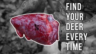 Become a Better Blood Tracker Everything you Need to Know about Blood Tracking Deer [upl. by Aileek]