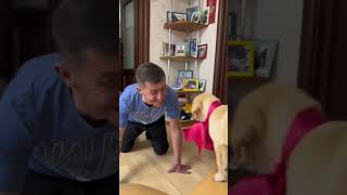 Забота об эмоциях Как сделать мужчину счастливымПодарокСобака happy dog doglover present fyp [upl. by Dorcus]