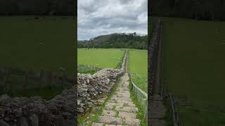 Hadrians Wall Built from 122AD running for 73 miles across the north of England history uk fyp [upl. by Nevile820]