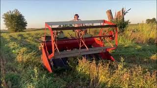 Owatonna Swather Cutting Buckwheat [upl. by Bee]