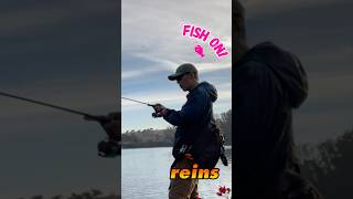 Reins Bubbling Shaker  Bass Fishing [upl. by Siloam665]