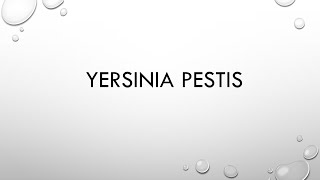 Microbiology Yersinia pestis plague [upl. by Donaldson]