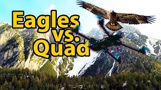 Quadcopter FPV in the Dolomites Auronzo Cadore Italy  Black Snapper downed by Eagles [upl. by Llemrej478]