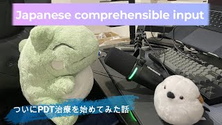 Japanese comprehensible input 14  肌の話ついにPDT治療を始めてみた話 [upl. by Sanson551]